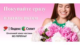 Что можно оплачивать картой Сплит в Страдивариус