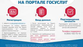 Что такое единый портал государственных услуг в Страдивариус