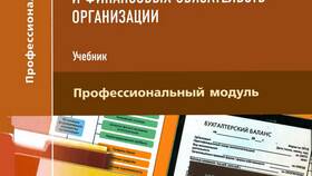 Что является источником имущества предприятия в Страдивариус