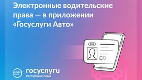 Как добавить водительское удостоверение в Госуслуги в Страдивариус