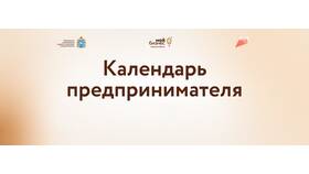 Как отправить декларацию ИП в 2025 году в Страдивариус