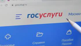 Как подать заявление через портал Госуслуги в Страдивариус