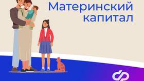 Как получить материнский сертификат через портал Госуслуги в Страдивариус