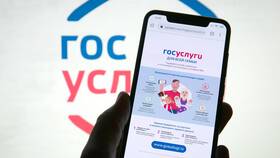 Как получить справку через Госуслуги в Страдивариус