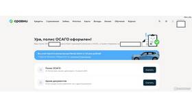Как продлить полис ОСАГО онлайн в Страдивариус