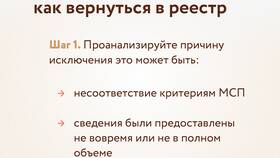 Как проверить ИП в реестре: полное руководство в Страдивариус