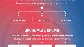 Как проверить решение о взыскании в Страдивариус