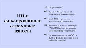 Как рассчитать налоги и взносы ИП в Страдивариус