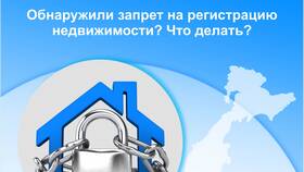 Как снять запрет на недвижимость в Страдивариус
