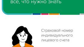 Как выглядит страховой номер индивидуального лицевого счета (СНИЛС) в Страдивариус