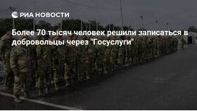 Количество добровольцев на Госуслугах в Страдивариус