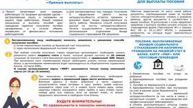 Место работы в заявлении: что указывать в Страдивариус