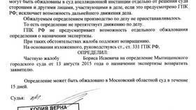 На что может быть подана частная жалоба в Страдивариус