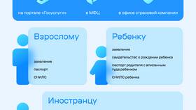 Страховой полис ВЗР: что это? в Страдивариус