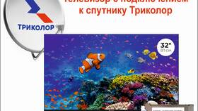 Триколор ТВ: что случилось сегодня в Страдивариус