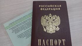 Зачем в лагерь требуют СНИЛС в Страдивариус